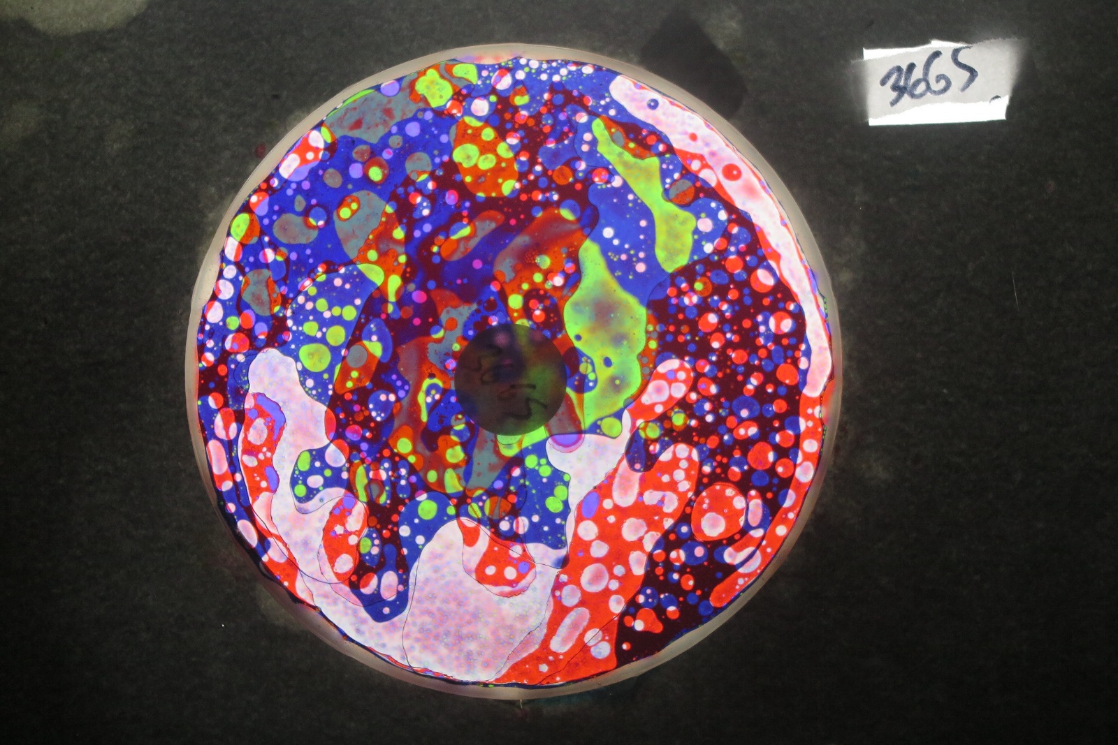 BV3665 bubble vision oil wheel